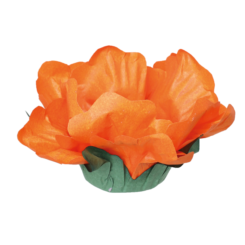 24 Forminhas Hibisco Laranja