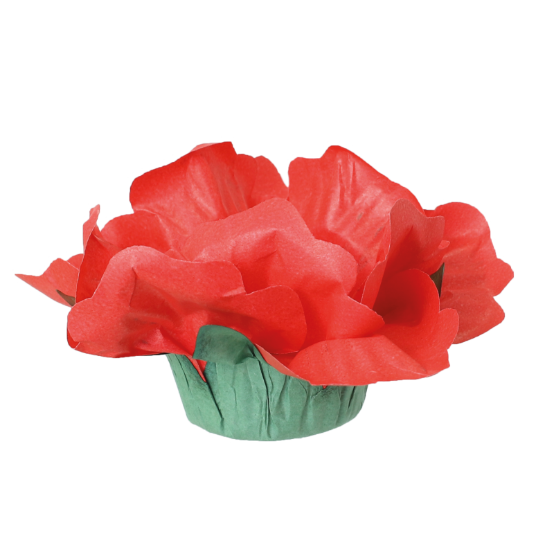 24 Forminhas Hibisco Vermelho