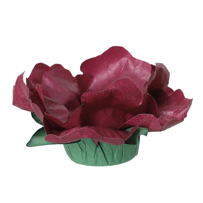 24 Forminhas Hibisco Bordô