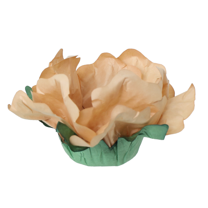 24 Forminhas Hibisco Banoffee