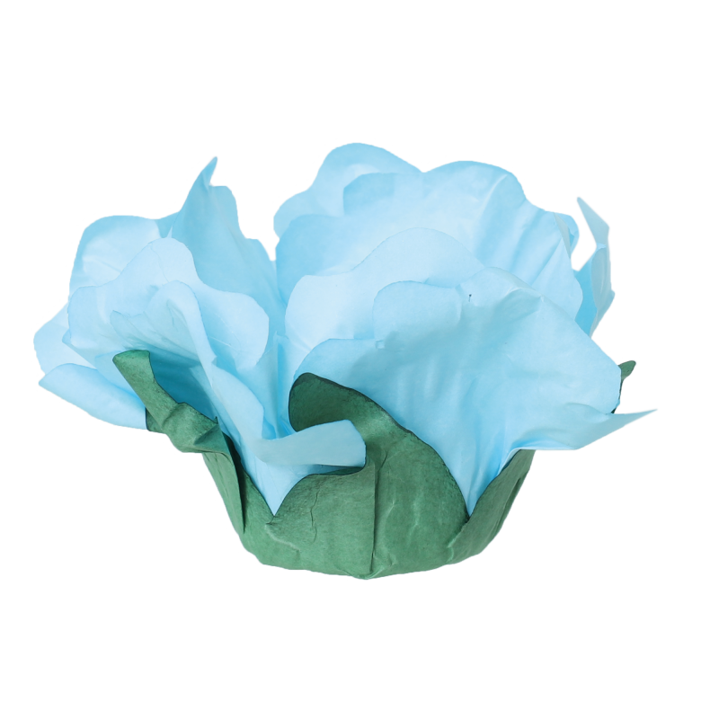 24 Forminhas Hibisco Azul Bebé