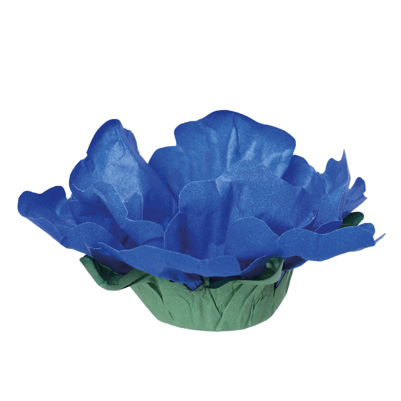 24 Forminhas Hibisco Azul Real