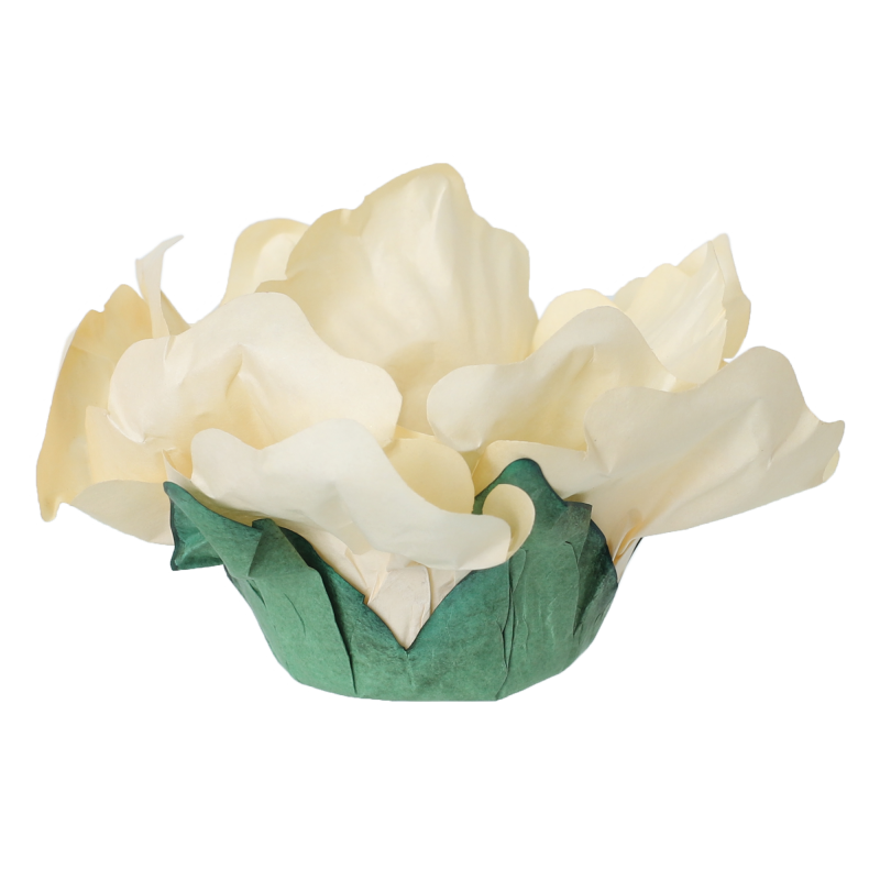 24 Forminhas Hibisco Marfim