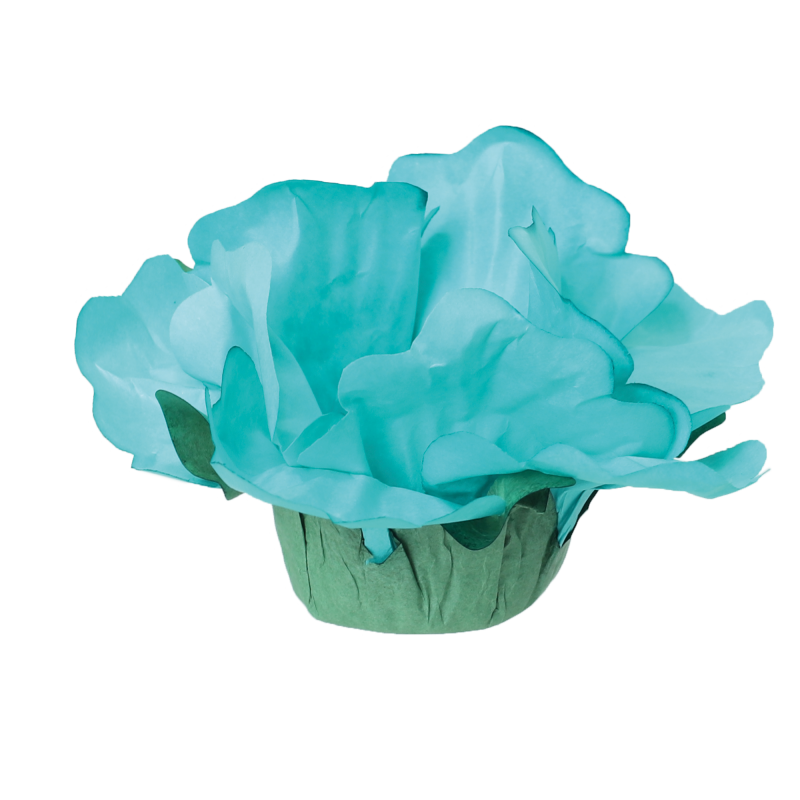 24 Forminhas Hibisco Tiffany