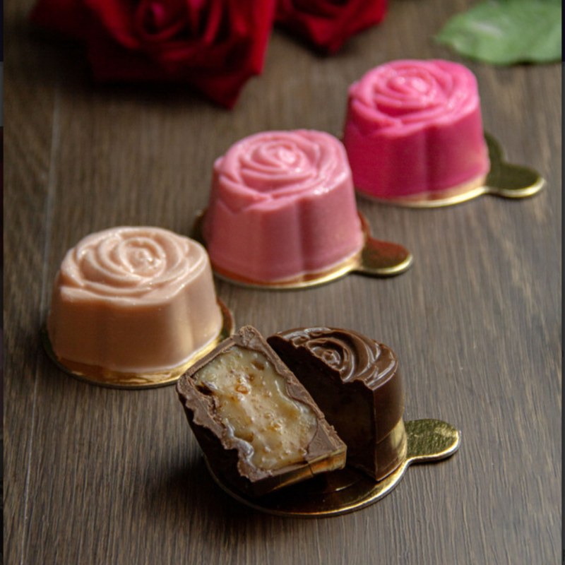 Forma Especial 3 Partes - Trufa Rosa