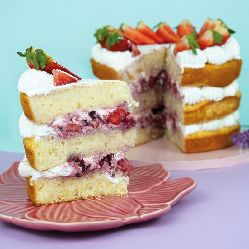 Preparado para Sponge Cake - 500g