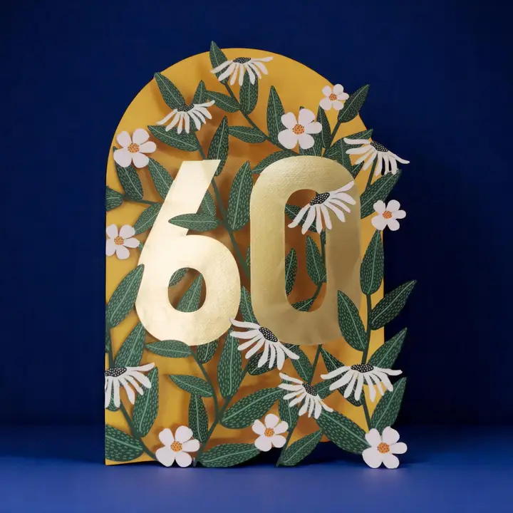 Postal Idade 60
