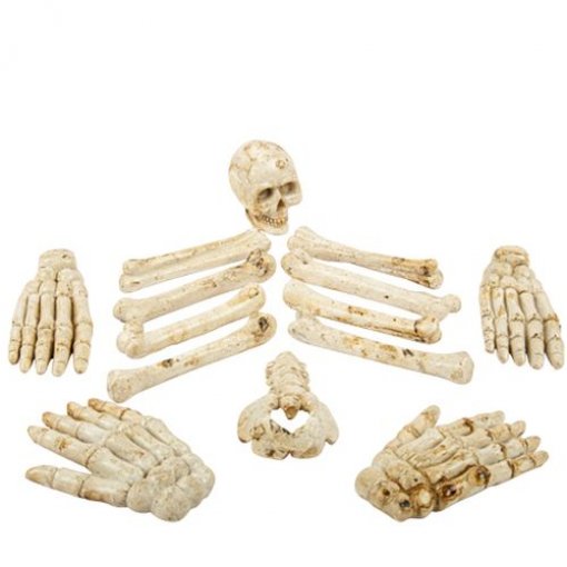 Sortido de Ossos Decorativos em Resina