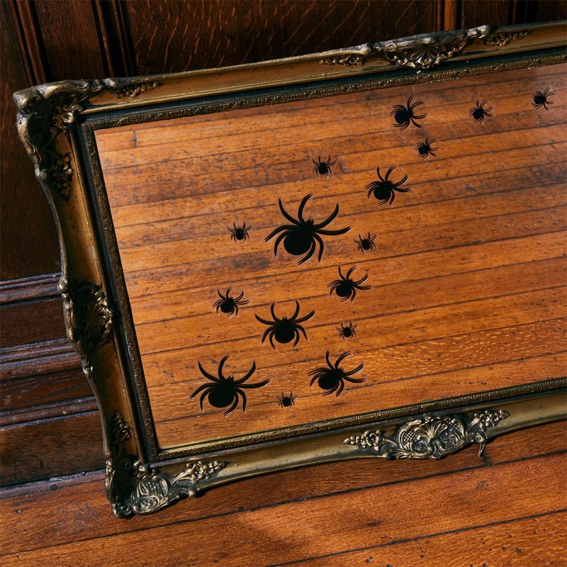 Autocolantes para Vidro Aranhas