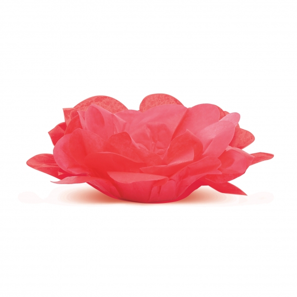 40 Forminhas para Doces Roses sem Folhas Vermelho