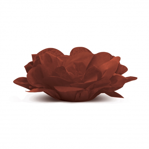 40 Forminhas para Doces Roses sem Folhas Marrom 40 Forminhas para Doces Roses sem Folhas Marrom