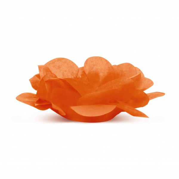 40 Forminhas para Doces Roses sem Folhas Laranja