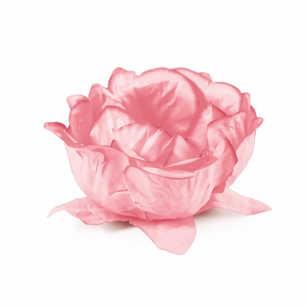 30 Formas para Docinho Flora Rosa Pastel