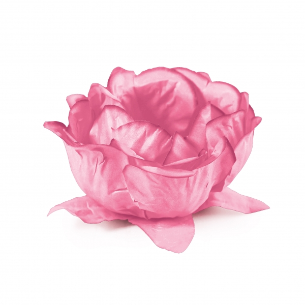 30 Formas para Docinho Flora Rosa Chiclete