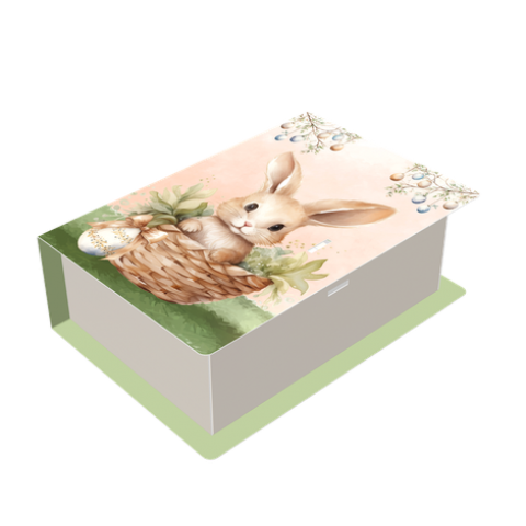 Caixa Degustação Livro 2x50g - Coelhinho Encantado - 5 unidades