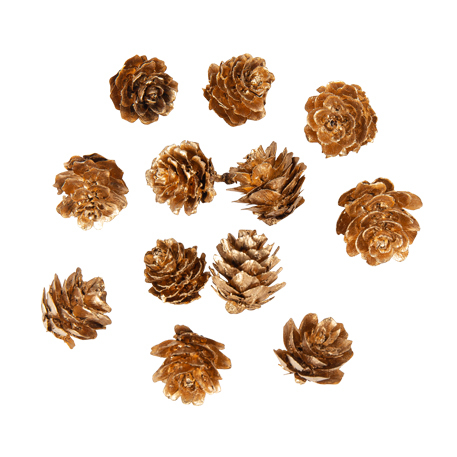 12 Mini Pinhas Natal