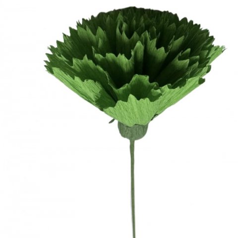 6 Cravos de Papel Sortidos