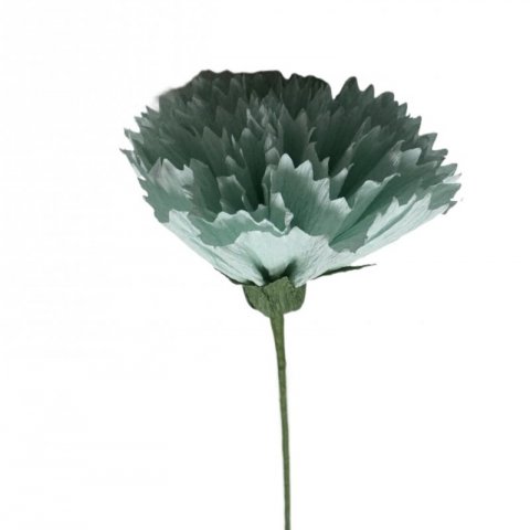 6 Cravos de Papel Sortidos