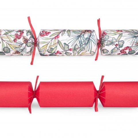 12 Crackers Christmas Sprig