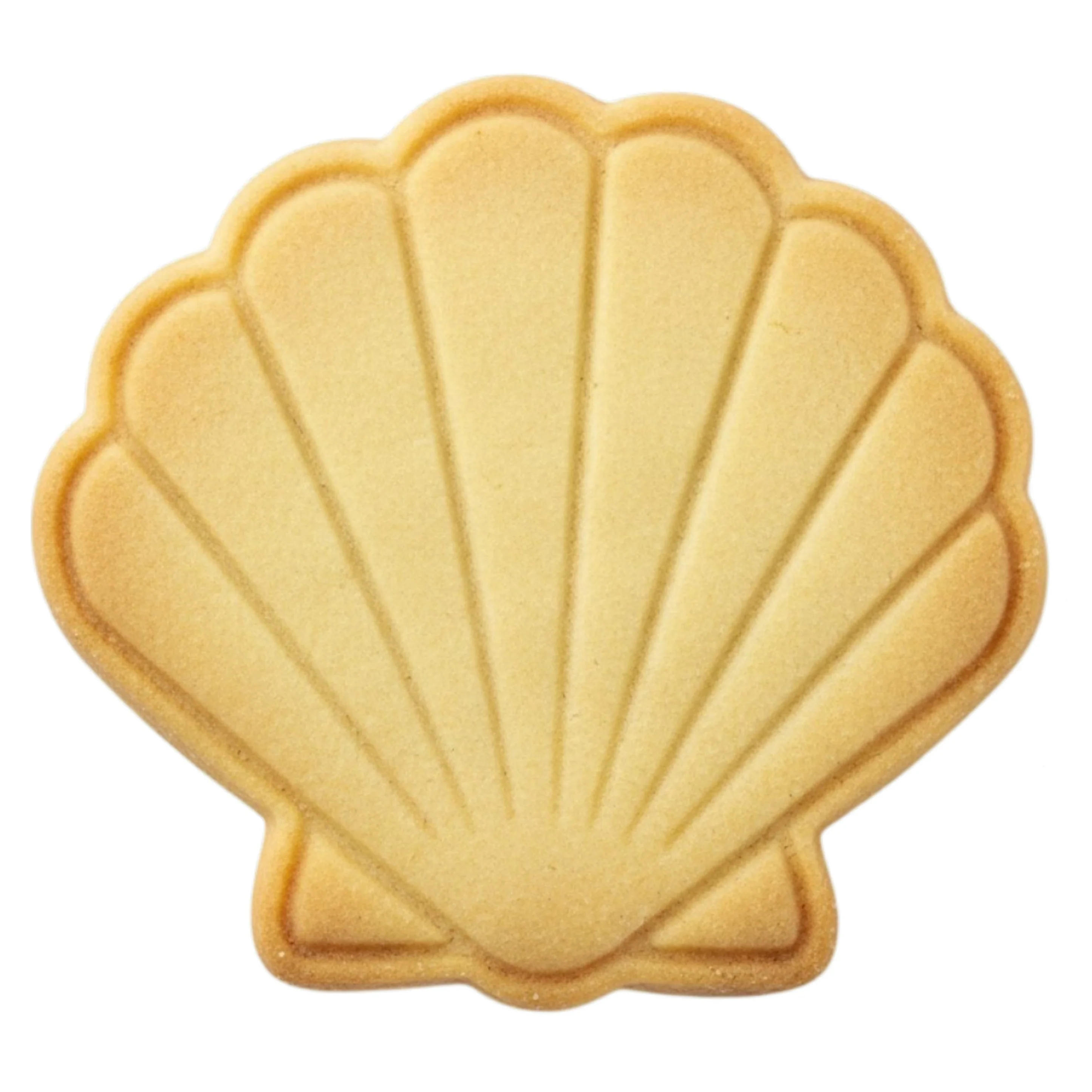 Cortador Concha Vieira