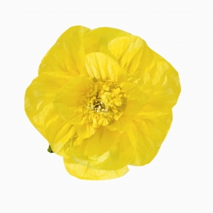 Flor Decorativa Papoila Amarela Pequena