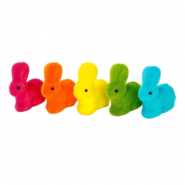 5 Coelhinhos Coloridos