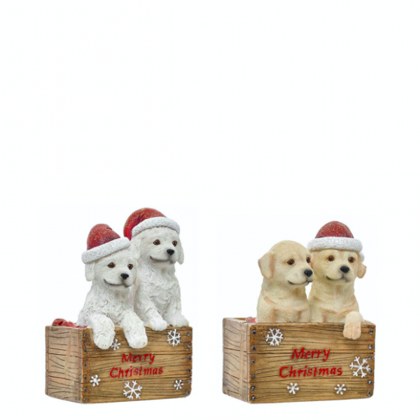 Natal - Caixote com Cão Poliresina