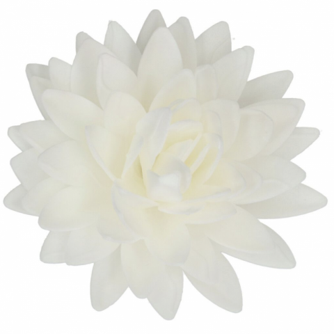 Flor Comestível Peónia Branca