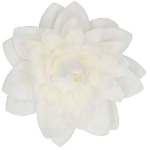 Flor Comestível Dália Branca