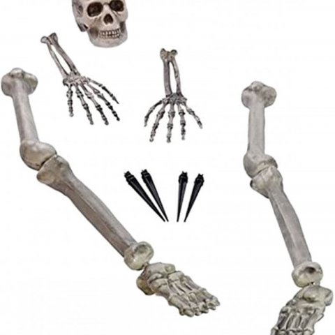 Kit Decoração Partes de Esqueleto