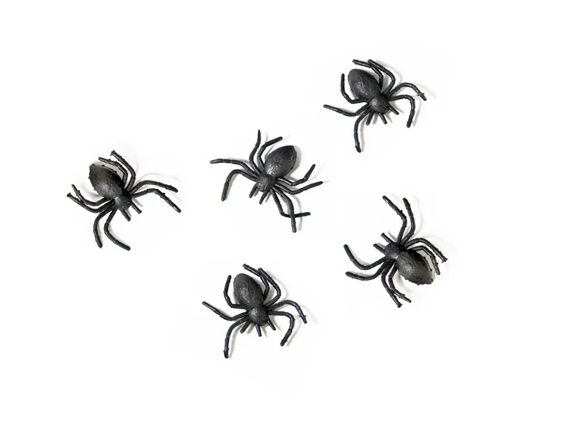 Aranhas Pretas de Plástico