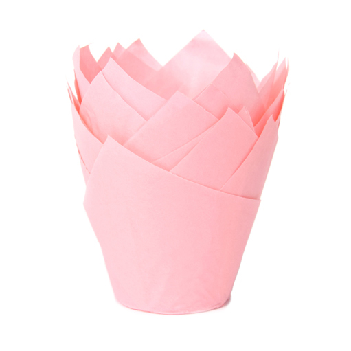 36 Formas Túlipa Rosa Bebé