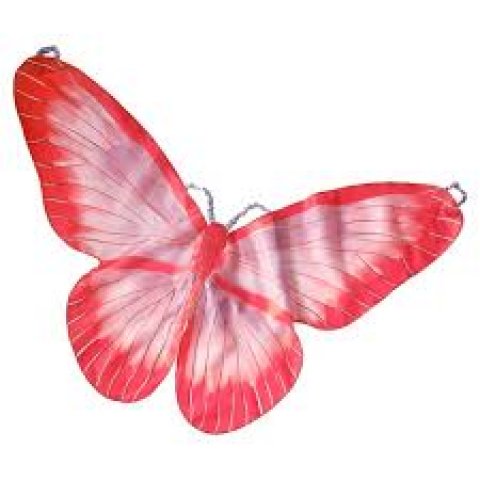 Asas de Borboleta